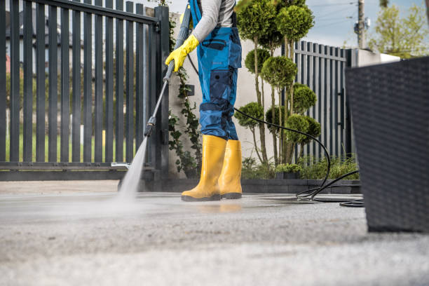 Best Roof Cleaning and Mildew Removal in Peach Springs, AZ